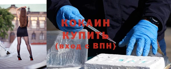 индика Магас