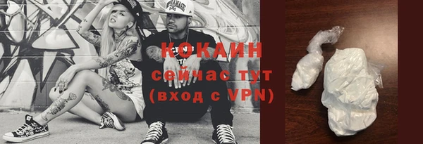 индика Магас
