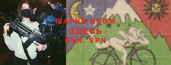 индика Магас