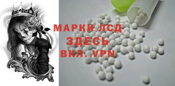 индика Магас