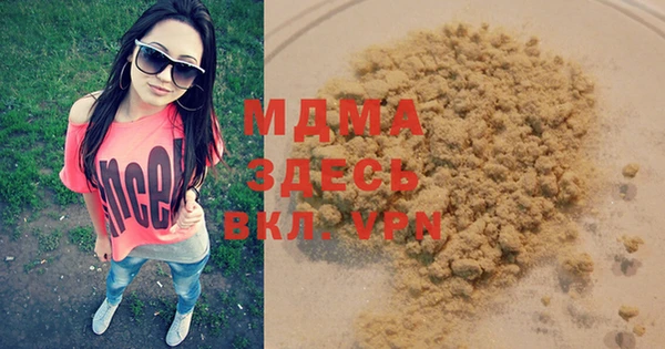 индика Магас