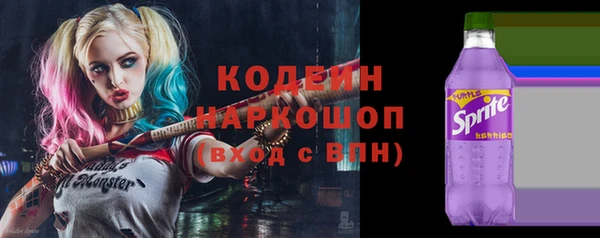 индика Магас