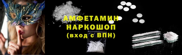 индика Магас