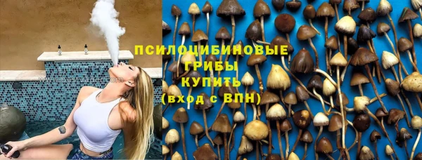 индика Магас
