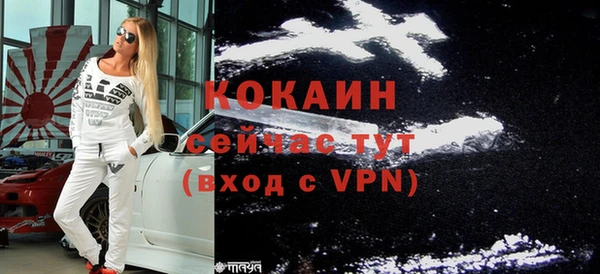 индика Магас