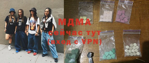 индика Магас