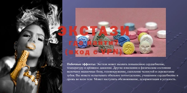 индика Магас