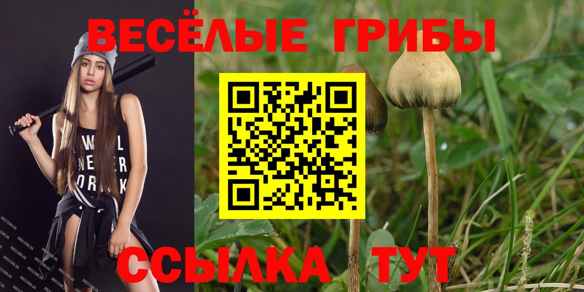  Cocaine Донской