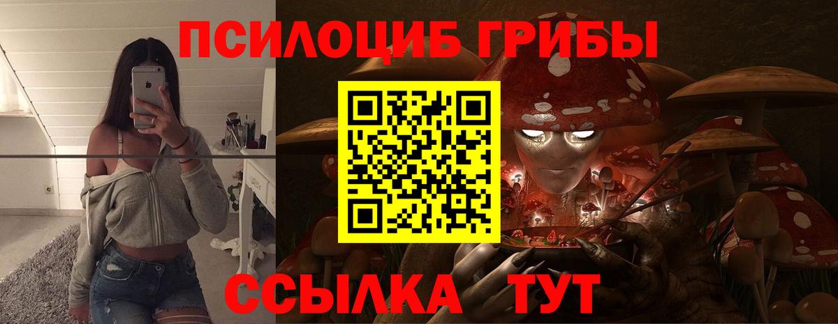 Псилоцибиновые грибы GOLDEN TEACHER  Вход с VPN  Донской  Галлюциногенные грибы мицелий 